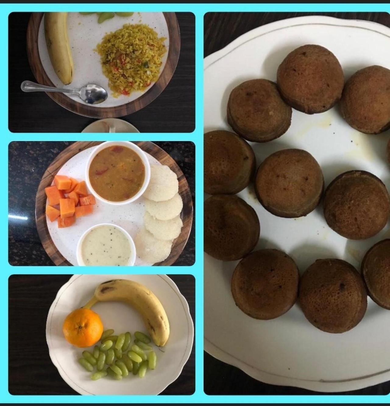 Mimosa Udaipur Bed and Breakfast Εξωτερικό φωτογραφία